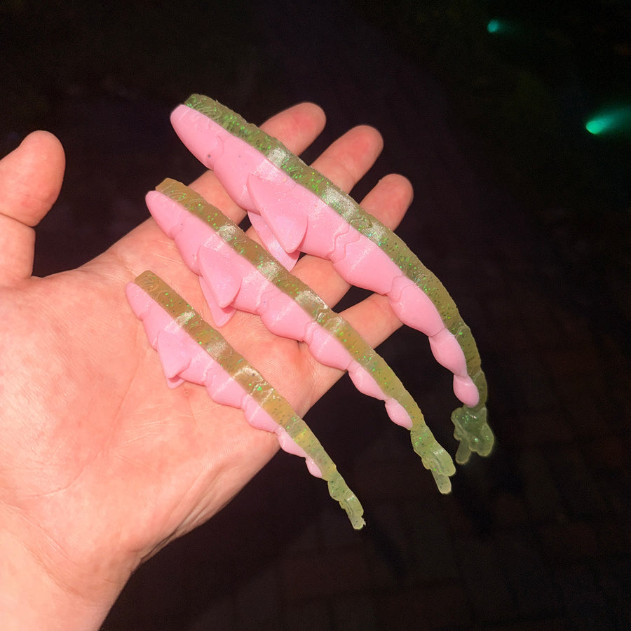 F-Tail PINK SHINER