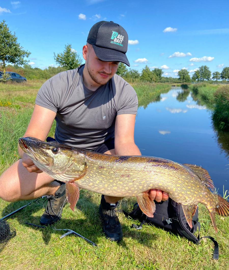 TANK Prototyp Sunny 22cm