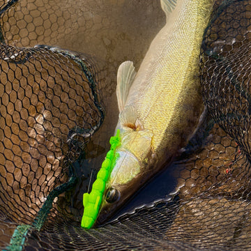 F-Tail LIME FLASH 12cm