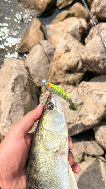 EAGLE Bloodline 10cm