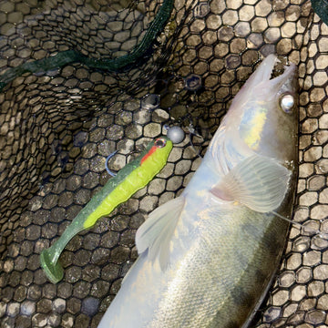 EAGLE Bloodline 12cm